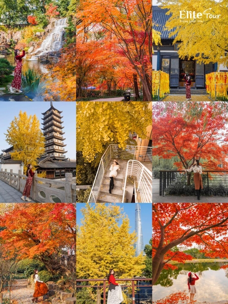 mùa thu Thượng Hải đi đâu chơi