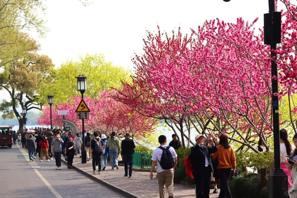 ngắm cảnh xuân Tây Hồ Hàng Châu