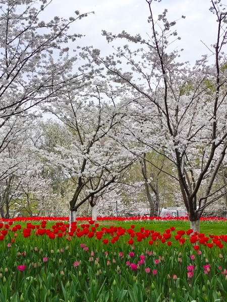 Vịnh Thái Tử Hàng Châu