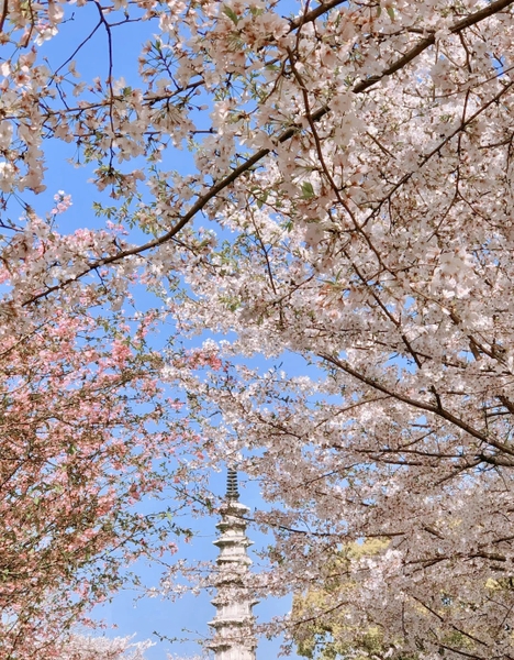 Công viên Bạch Tháp, Hàng Châu