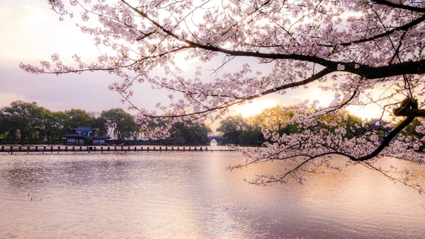 Tây Hồ Hàng Châu