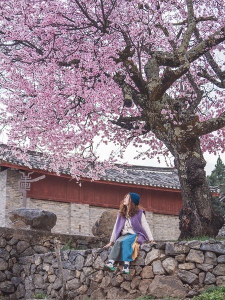 mùa xuân ở Lệ Giang thời tiết thế nào