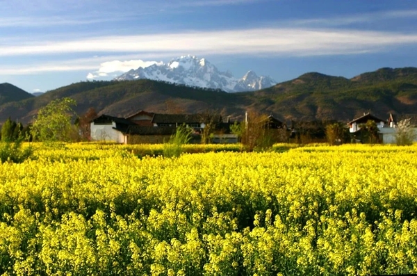 Cảnh xuân Lệ Giang
