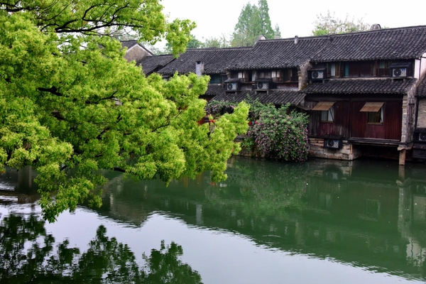 Dạo Ô Trấn sáng sớm