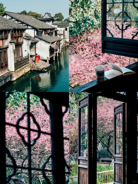 mùa xuân Ô Trấn có đông không