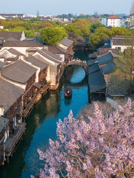 hoa nở Ô Trấn mùa xuân