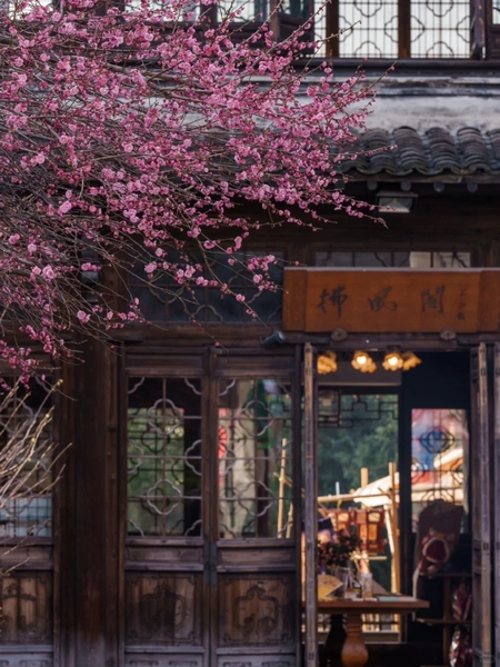 Chi phí du lịch Ô Trấn mùa xuân