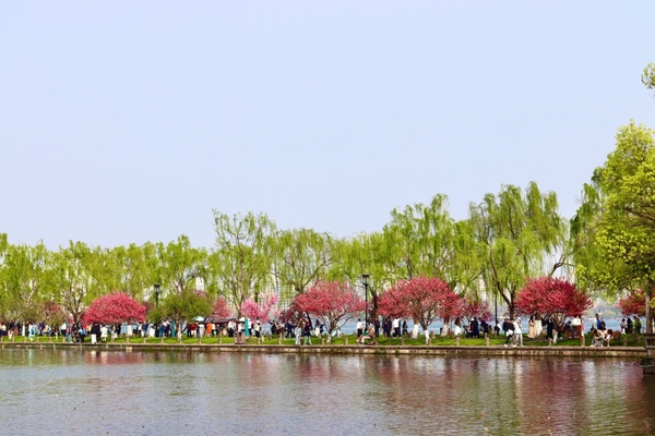 Tour mùa xuân Tây Hồ Hàng Châu