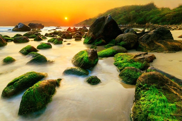 Du lịch Đà Nẵng Hội An 3 ngày 2 đêm, 4 ngày 3 đêm thì nên đi đâu? 11