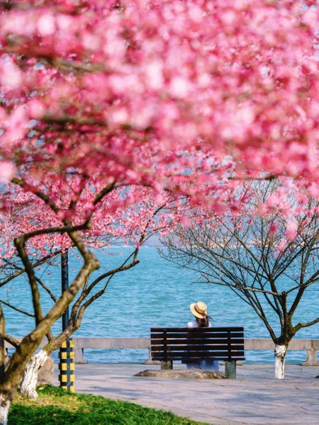 lễ hội mùa xuân ở Hàng Châu