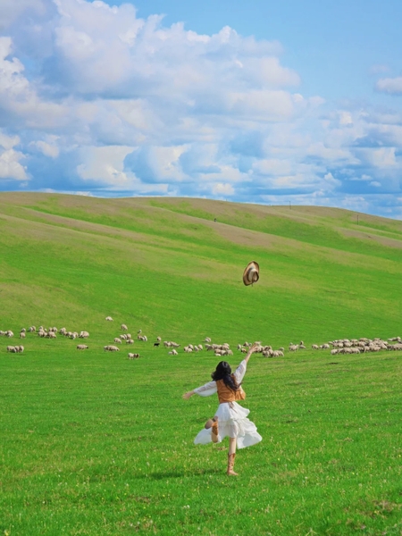 Ngắm đồng cổ Nội Mông