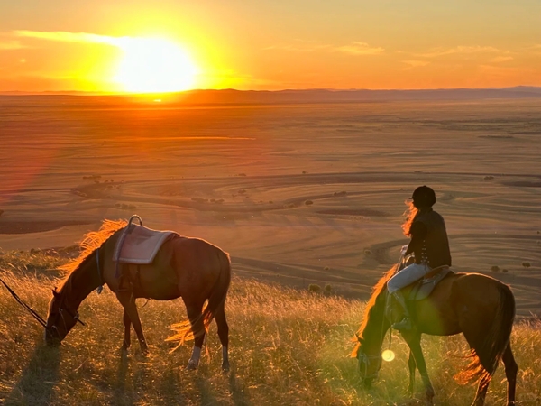 cưỡi ngựa trên thảo nguyên Nội Mông