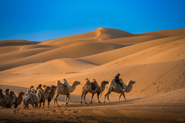 Khám phá sa mạc Nội Mông