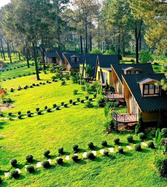Phoenix Mộc Châu Resort 02 Phoenix Mộc Châu Resort 02