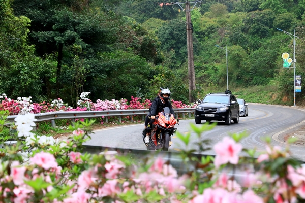 Kinh nghiệm du lịch Tam Đảo trong ngày từ Hà Nội 3