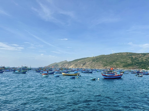 du lịch Quy Nhơn tháng 2