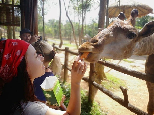 Vinpearl Safari Phú Quốc - Vườn Thú Bán Hoang Dã Trên Đảo Ngọc 10