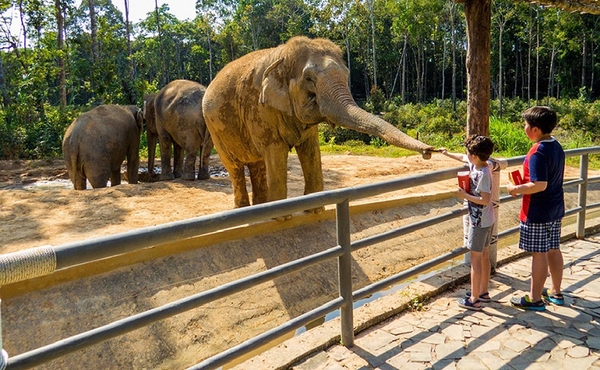 Vinpearl Safari Phú Quốc - Vườn Thú Bán Hoang Dã Trên Đảo Ngọc 10