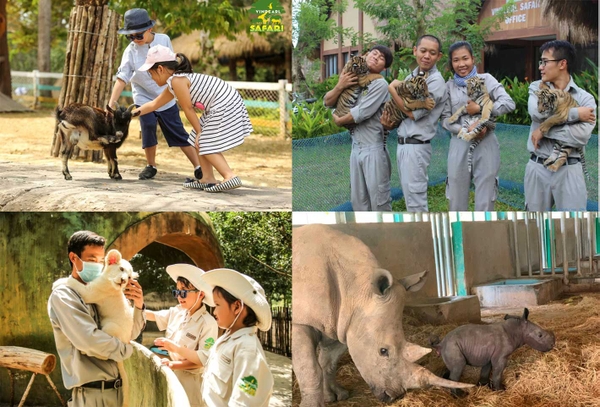 Vinpearl Safari Phú Quốc - Vườn Thú Bán Hoang Dã Trên Đảo Ngọc 5