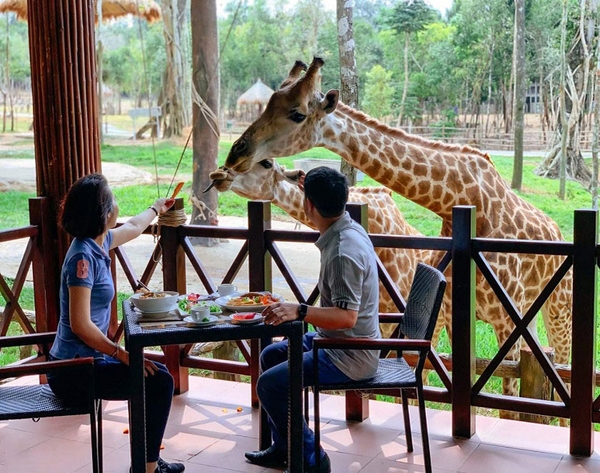 Vinpearl Safari Phú Quốc - Vườn Thú Bán Hoang Dã Trên Đảo Ngọc 12