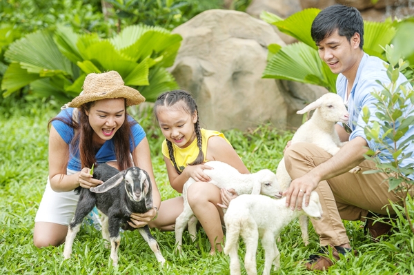 Safari Phú Quốc 4