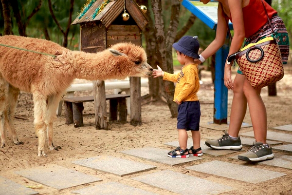 FLC Grand Hotel Quy Nhơn Zoo