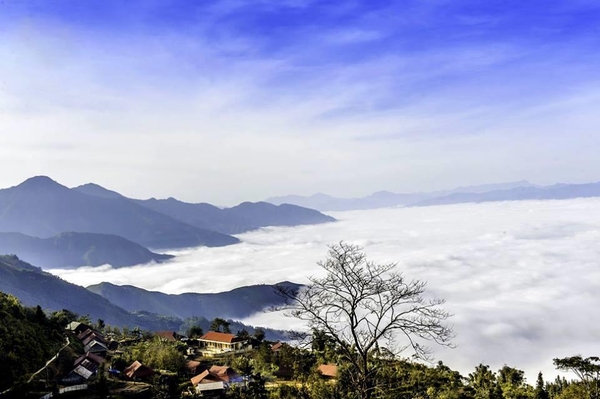 săn mây Sìn Hồ