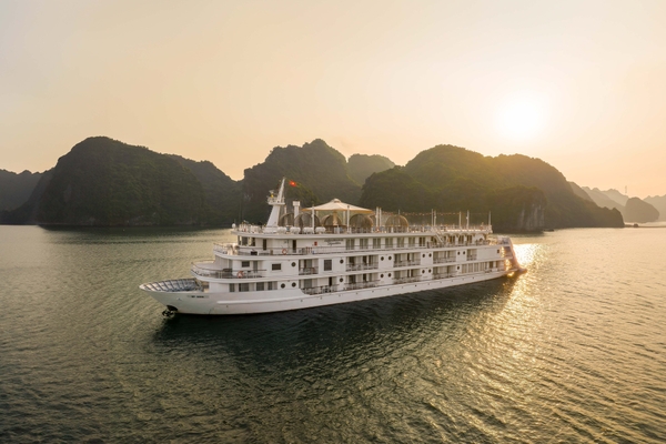 Ambassador Signature Cruise