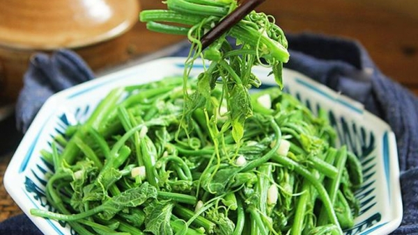 Kinh nghiệm du lịch Tam Đảo trong ngày từ Hà Nội 11