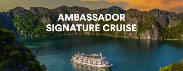 Ambassador Signature Cruise