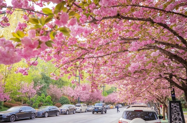 Du lịch Tây An mùa nào đẹp