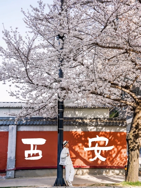 Du lịch Tây An mùa nào đẹp