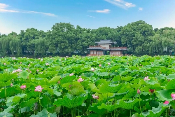 Khúc Viện Phong Hà