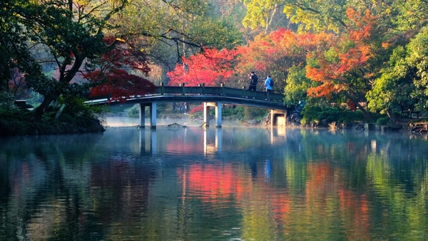 Hoa Cảng Quan Ngư Tây Hồ