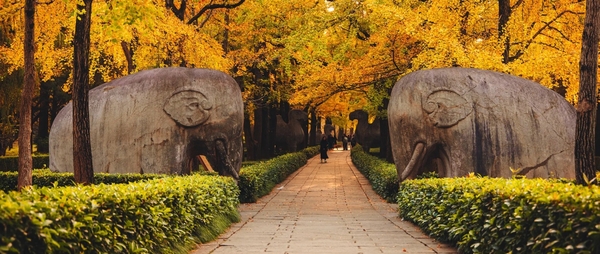 Minh Hiếu Lăng Nam Kinh