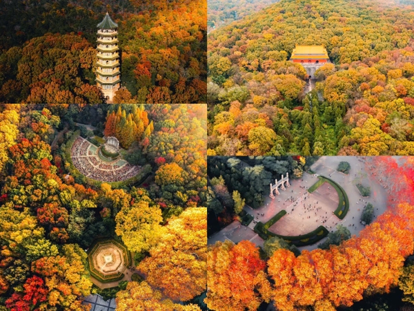 Khu thắng cảnh Trung Sơn Nam Kinh