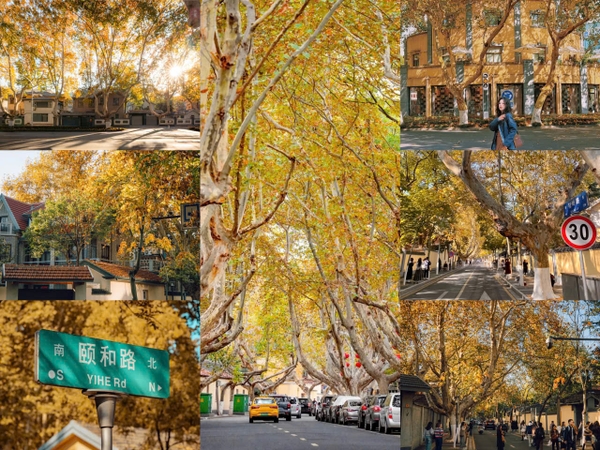 Đường Di Hoà Nam Kinh