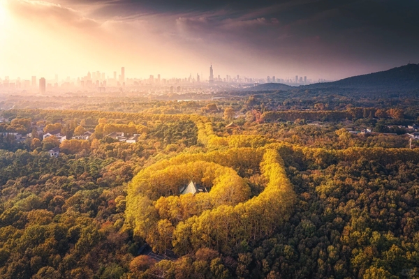 Mỹ Linh Cung Nam Kinh