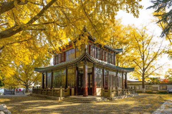 Công viên hồ Huyền Vũ - Nam Kinh