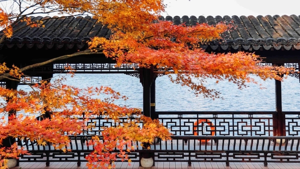 Hồ Mạc Sầu Nam Kinh