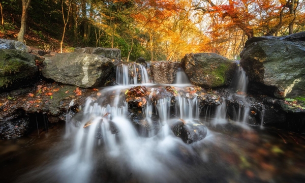 Cửu Khê Yên Thụ Tây Hồ