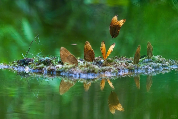 Du lịch Châu Hồng Hà