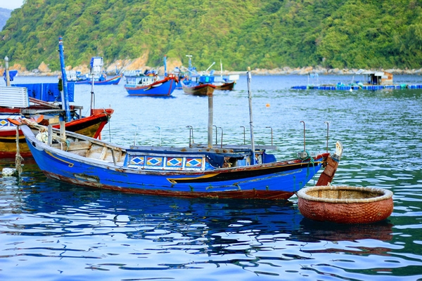 Chọn tour đảo nào khi du lịch Nha Trang? 6
