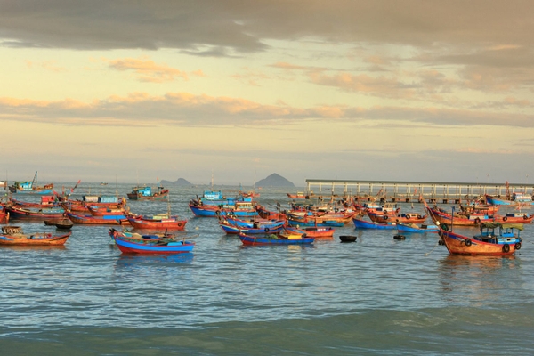 Chọn tour đảo nào khi du lịch Nha Trang? 8