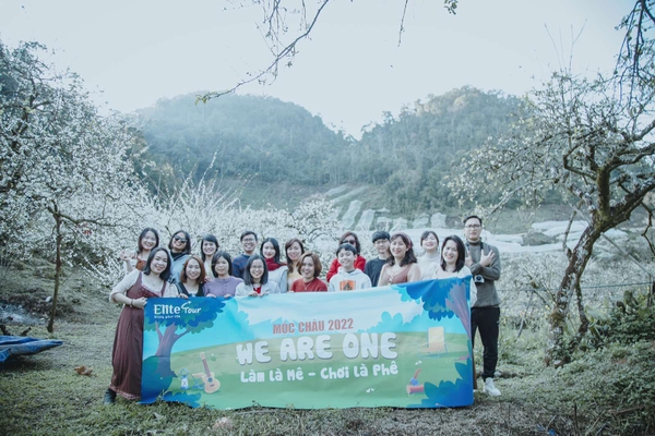 tour ngắm hoa mận Mộc Châu