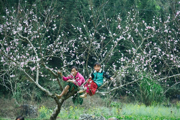 tour Hà Giang mùa xuân