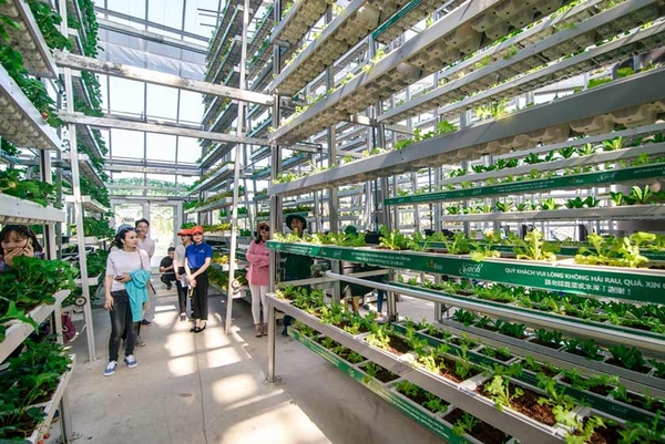đặt phòng Vinpearl Nam Hội An giá tốt 14
