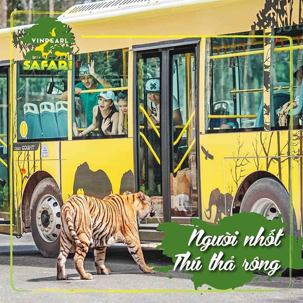 Vinpearl Safari Phú Quốc - Vườn Thú Bán Hoang Dã Trên Đảo Ngọc 3