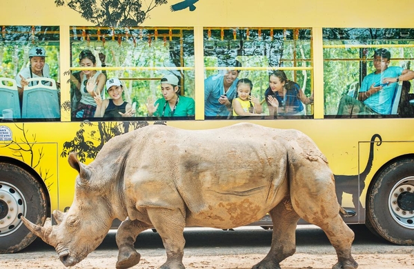 Vinpearl Safari Phú Quốc - Vườn Thú Bán Hoang Dã Trên Đảo Ngọc 1