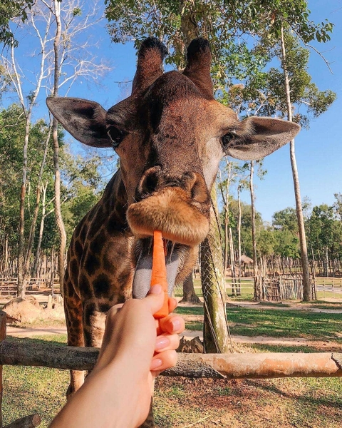 Vinpearl Thay Đổi Giờ Hoạt Động Phú Quốc United Center 1
